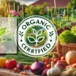 5 Coisas a Verificar Antes de Solicitar Uma Certificação de Alimentos Biológicos Para o seu Jardim