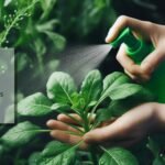 3 Pesticides Biologiques Pour Jardin Que Vous Pouvez Fabriquer à la Maison Et Comment Les Utiliser