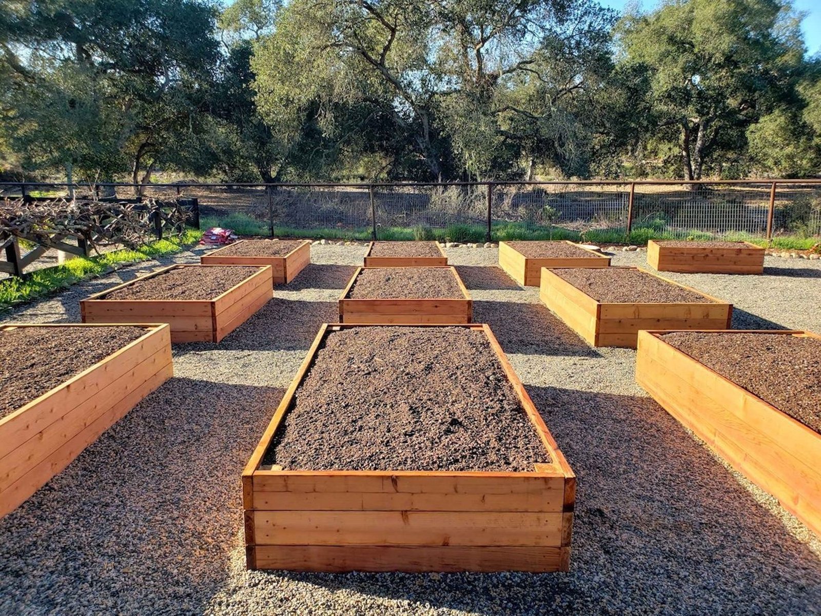 DIY! Step By Step Guide How To Build An Organic Raised Bed In Your ...