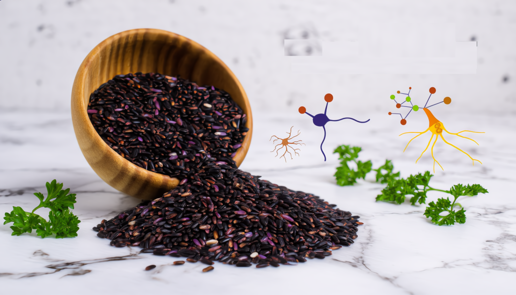 Oryza Sativa: The Forbidden Rice That Lowers Alzheimer’s Risk