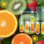 टाइम-रिलीज फल क्या हैं? और ये फल आपको पूरे दिन ऊर्जा क्यों देते हैं