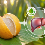 Having Liver Troubles? Meet Langsat, the “Powerful Liver Detox Fruit” You’ve Never Heard Of