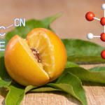 Kei Apple, Rahasia Kecantikan Afrika yang Paling Terjaga: Buah Kecil Penuh Vitamin E dan Karotenoid Pelindung Kulit