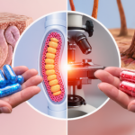 NMN vs. Resveratrol: Welches Anti-Aging-Präparat wirkt tatsächlich?