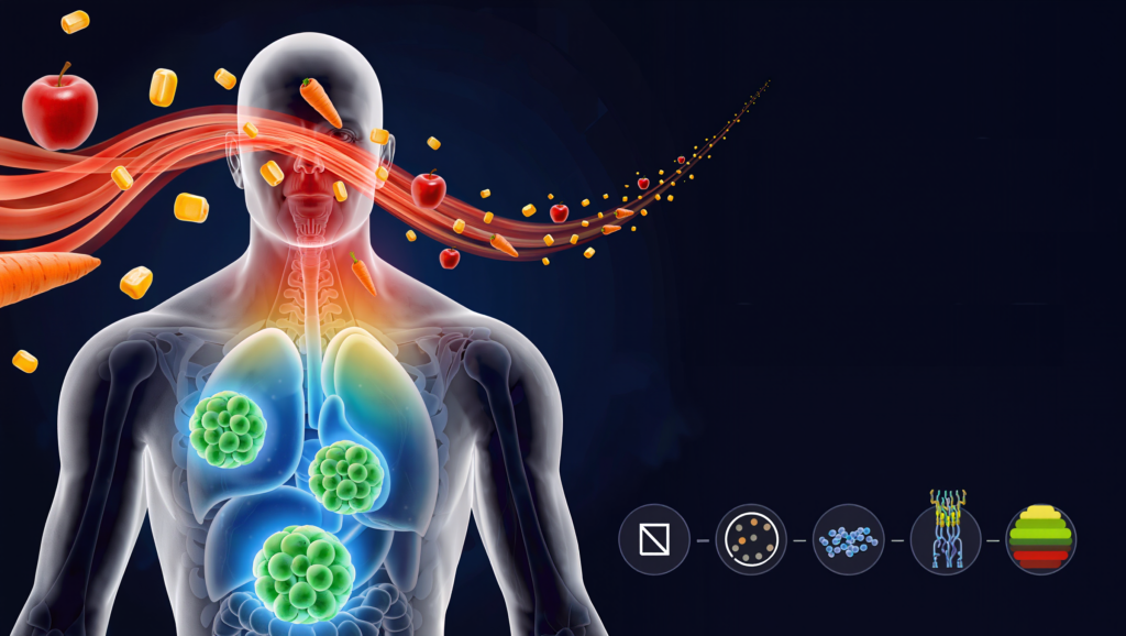 Rahasia Penurunan Berat Badan yang Ingin Diketahui Metabolisme Anda. Makanlah untuk Membakar Lebih Banyak Kalori: Termogenesis Induksi Diet Dijelaskan
