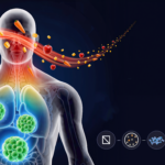 O segredo da perda de peso que o seu metabolismo quer que saiba. Coma para queimar mais calorias: Termogénese induzida pela dieta explicada