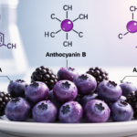 The Pigment That Fights Aging: How Anthocyanins Protect Your Cells – Anthocyanins Explained