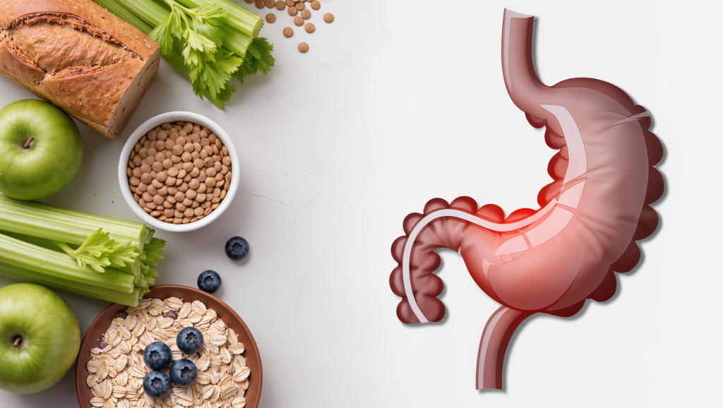 Apakah Diet Tinggi Serat Anda Memperburuk Kondisi Usus Anda? Bahaya Pola Makan Tinggi Serat yang Terabaikan bagi Penderita SIBO dan IBS