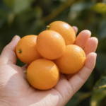 Small Fruit With A Big Secret: Why Kumquats Are Meant to Be Eaten Whole (Peel and All) – Psst! It’s An Antioxidant Goldmine