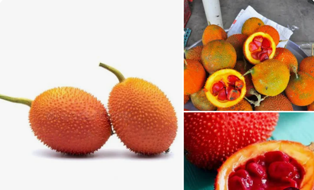 The Hidden Superfruit That Puts Carrots to Shame: Meet Gac Fruit – It Has 10x More Beta-Carotene Than Carrots
