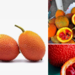 The Hidden Superfruit That Puts Carrots to Shame: Meet Gac Fruit – It Has 10x More Beta-Carotene Than Carrots