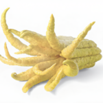 Buddha’s Hand: The Fragrant Fruit That Improves Respiratory Health