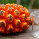 Kann diese seltsame spiralförmige Frucht wirklich das Altern verlangsamen? Lernen Sie die Pandanusfrucht und den Kampf gegen das Altern kennen