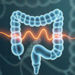 Your Strange Stomach Growl Does Not Always Mean Hunger. Here’s What Else It Means – The Science of Motility Patterns